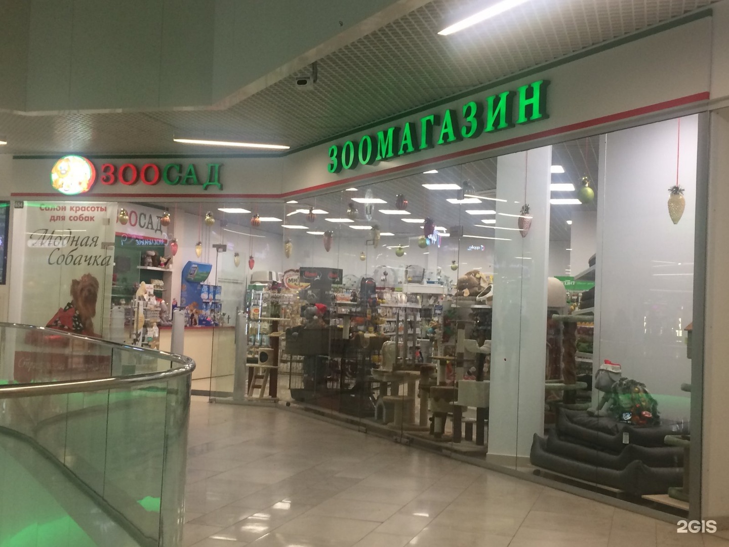 Усатый полосатый зоомагазин тула. Зоогалерея Тула. Зоогалерея 71. Зоомагазин в макси Тула. Комкорд Тула зоомагазин