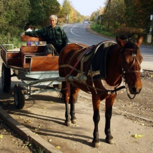 Фото от владельца В Ропше, комплекс конного дела