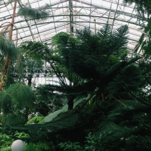 Фото от владельца Ботанический сад, Ботанический институт им. В.Л. Комарова РАН