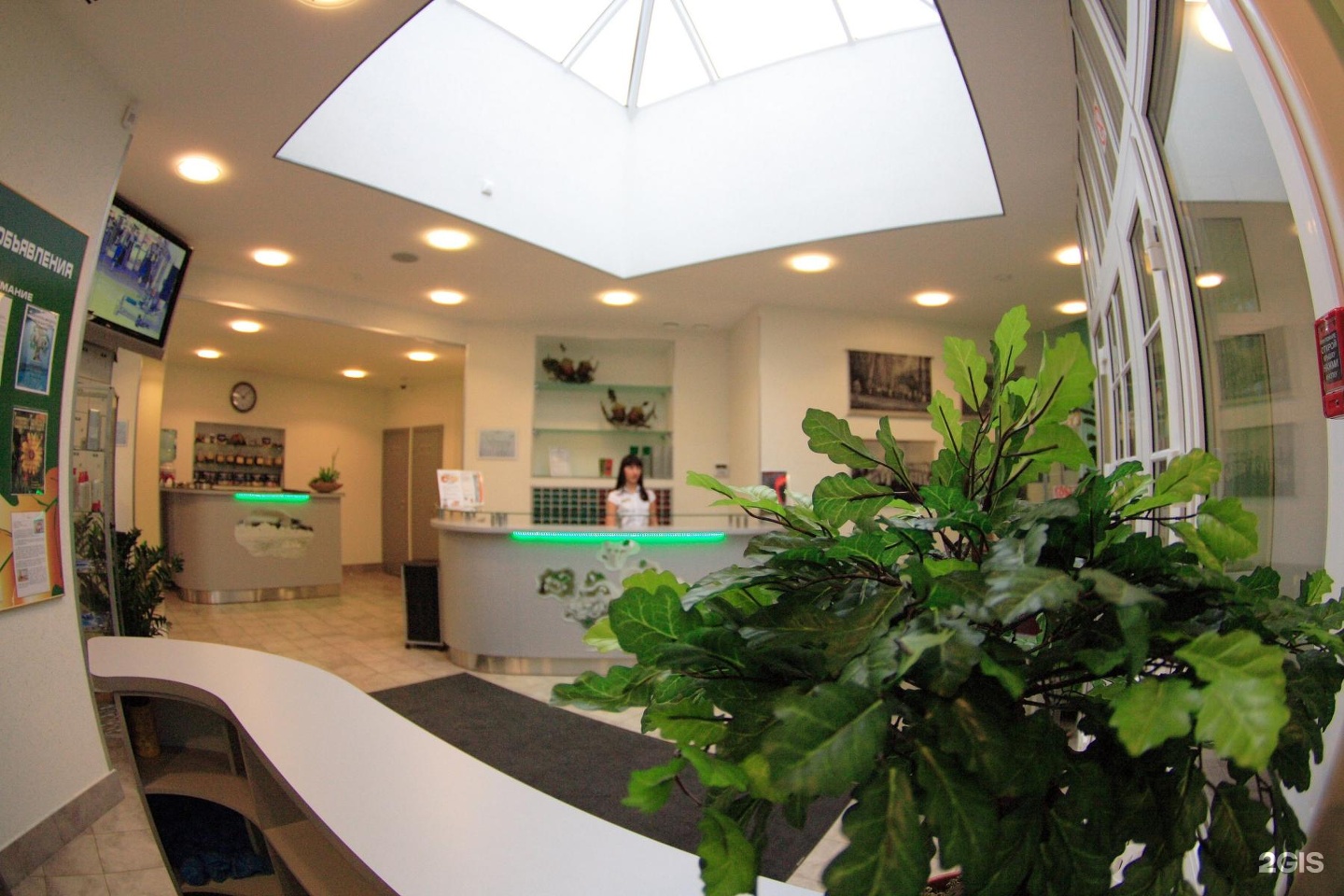 Фитнес дубки. Фитнес клуб дубки лукино. Пансионат дубки лукино. Фитнес клуб дубки лукино. Фитнес отель дубки лукино.