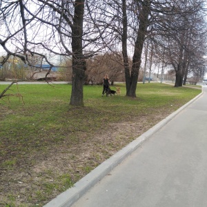 Фото от владельца Центральный парк культуры и отдыха им. С.М. Кирова