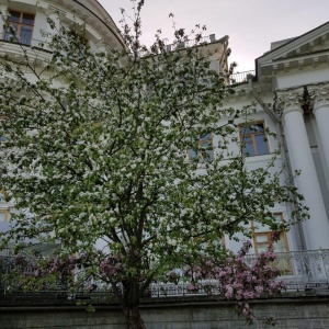 Фото от владельца Центральный парк культуры и отдыха им. С.М. Кирова