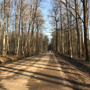 Фото от владельца Удельный парк