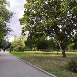 Фото от владельца Московский парк Победы