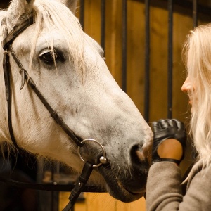 Фото от владельца Western Horse, конный клуб