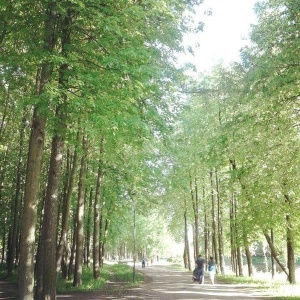 Фото от владельца Парк культуры и отдыха, г. Колпино