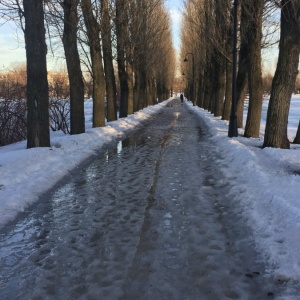 Фото от владельца Московский парк Победы