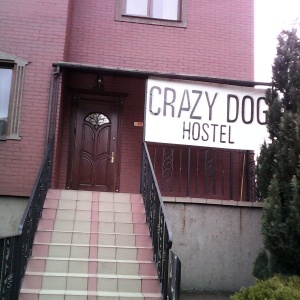 Фото от владельца Crazy Dog Hostel, хостел