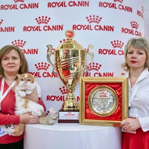 Фото от владельца Royal Canin, торговая компания
