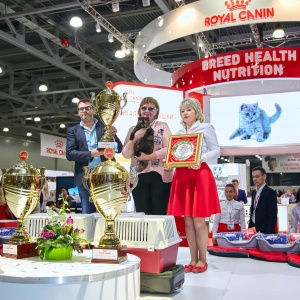 Фото от владельца Royal Canin, торговая компания