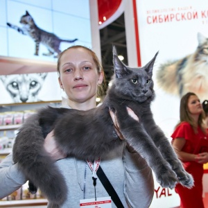 Фото от владельца Royal Canin, торговая компания