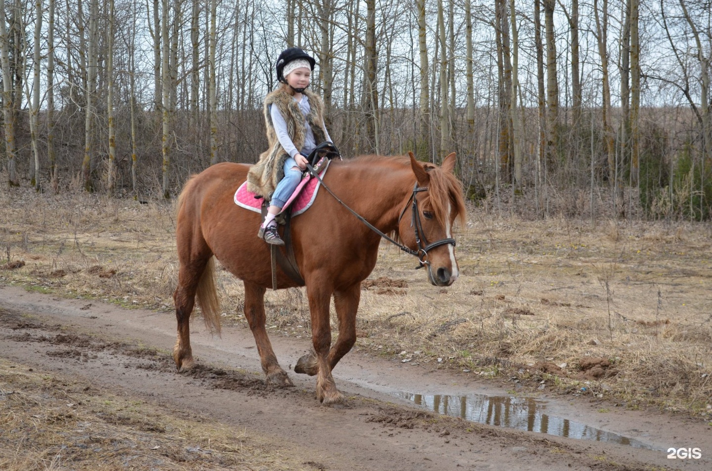 Кск апрель. КСК Аллюр в Бердске. Аллюр конный. Конный клуб Аллюр Бердск. Конный клуб Аллюр Ижевск.