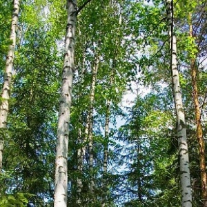 Фото от владельца Радуга, клуб-отель