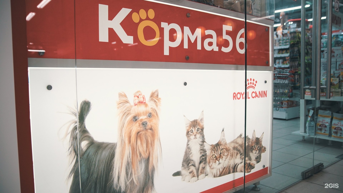 Три кота зоотовары. Зоошеф интернет магазин товаров для животных. Три кота Воронеж. Зоомагазин три кота Рощино. Супер бог зоомагазина 142