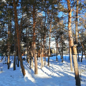 Фото от владельца Городской центральный парк культуры и отдыха, МАУ