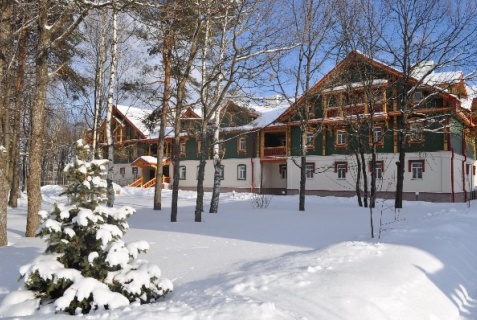 Владимир: Отель Русская деревня