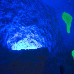 Фото от владельца Жемчужина, соляная пещера