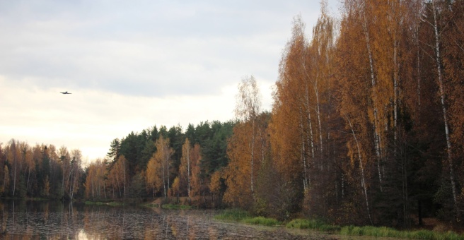 Парк харинка ул павла большевикова 29 фото Харинка, парк культуры и отдыха, Павла Большевикова, 29, Иваново - 2ГИС