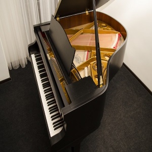 Фото от владельца Pianos, салон элитных роялей и пианино
