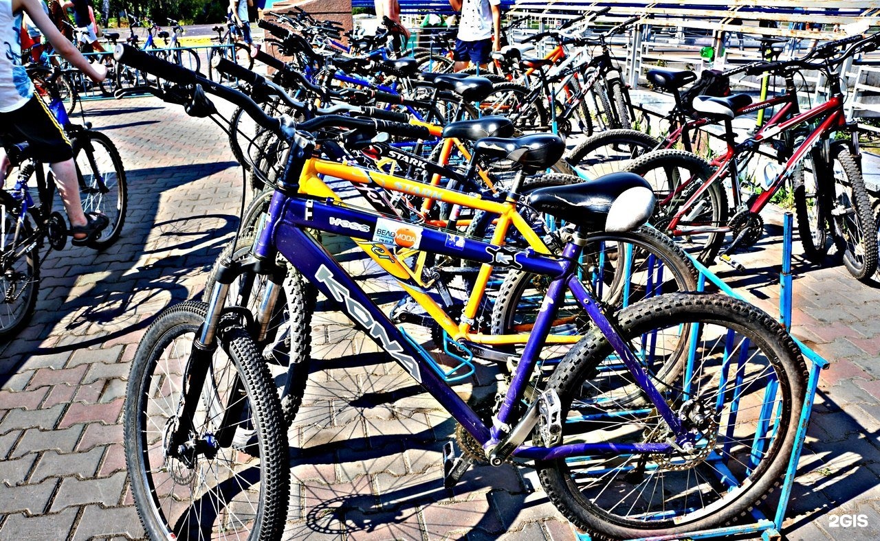 Прокат велосипедов на татышева красноярск. Прокат на острове татышев. Пункт проката велосипедов. Остров татышева красноярск прокат велосипедов. Прокат велосипедов на татышева красноярск.