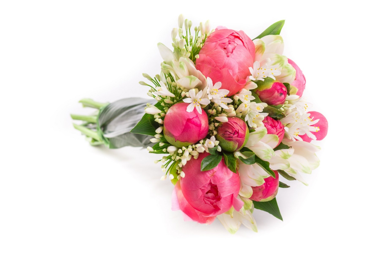 семена цветы астра комплимент марш авиаторов. цветы красноярск с доставкой недорого адреса пер светлогорский. астра однолетняя вечерняя заря. астра синяя авиатор семена. букет из клубники красноярск.