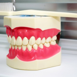 Фото от владельца Доктор Смайл, стоматологическая клиника