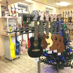 Фото от владельца Музыкант, магазин музыкальных инструментов, звукового и светового оборудования
