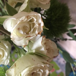 Фото от владельца ДВ Роза, салон цветов