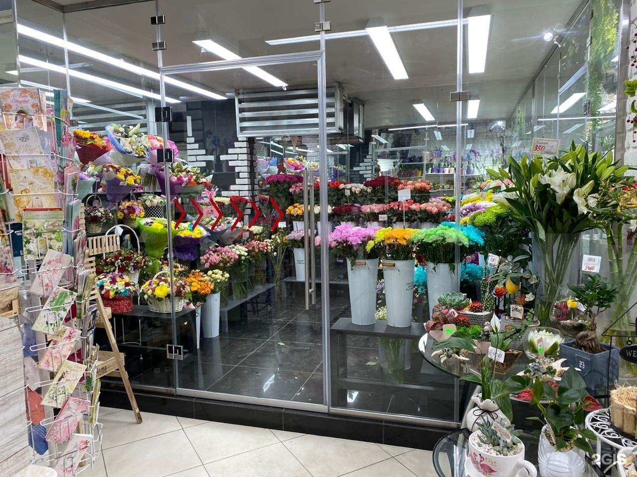 красивый сквер южно сахалинск. цветочный южно сахалинск. магазин цветов орхидея южно сахалинск. орхидея в магазине. цветы южно-сахалинск.