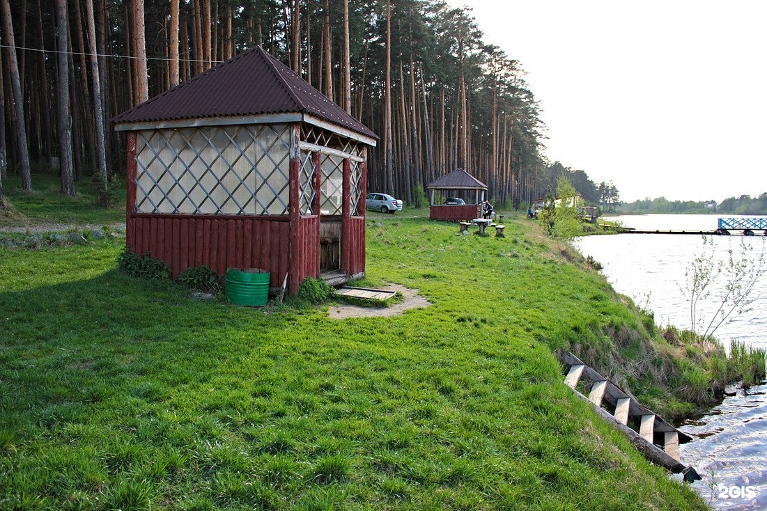 Казань Зеленый Бор Купить