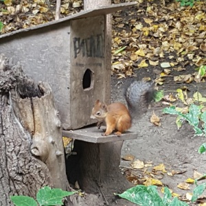 Фото от владельца Екатеринбургский Центральный Парк Культуры и Отдыха им. В.В. Маяковского