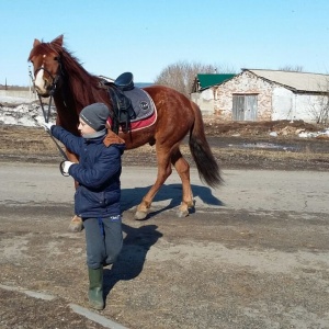 Фото от владельца Титан, конноспортивный комплекс