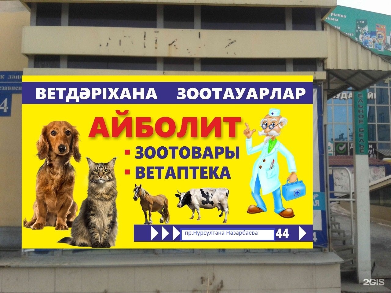 Айболит выкса. Айболит выкса телефон. Айболит выкса телефон. Айболит нефтекамск. Айболит выкса телефон.