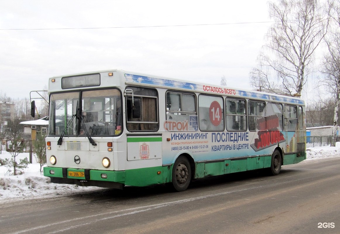 Ярославль 14. В Рязань автобус 160. Пингвин 160 автобус.