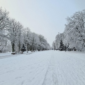 Фото от владельца Южный, ландшафтный парк