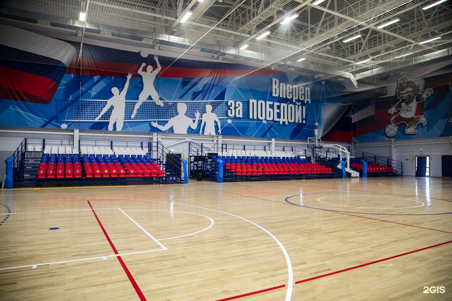 Arena ставрополь