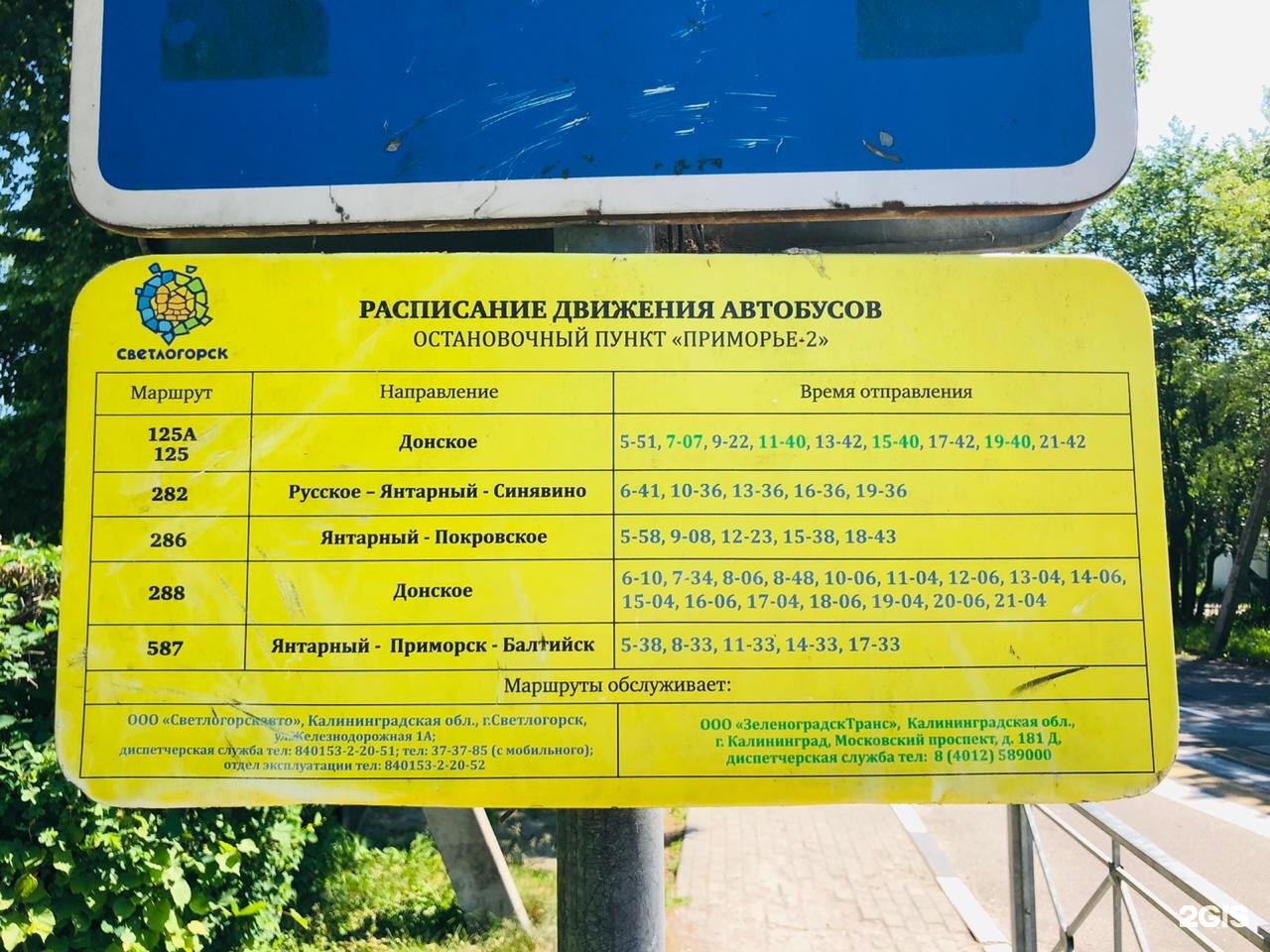 Автобус на янтарный расписание на сегодня. Расписание автобусов на Приморье в Хабаровске.