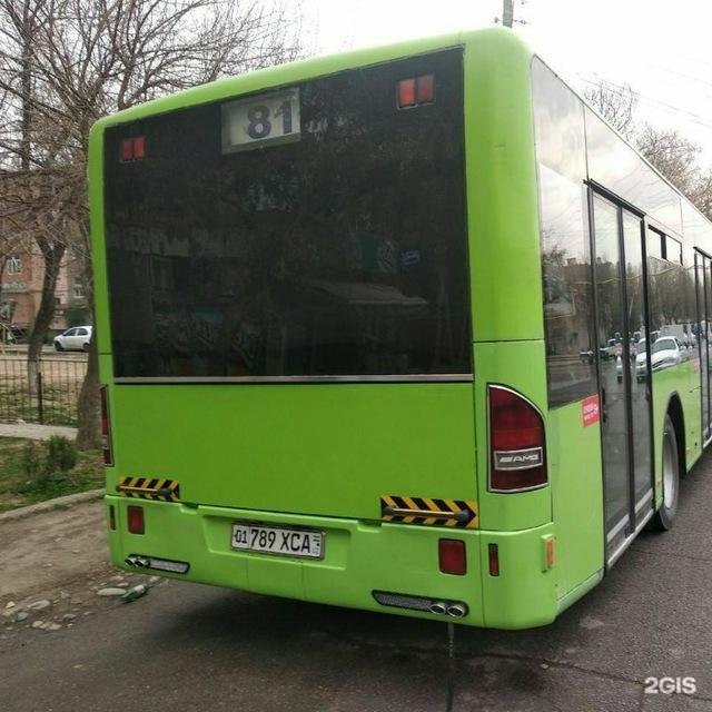 Время автобуса 81