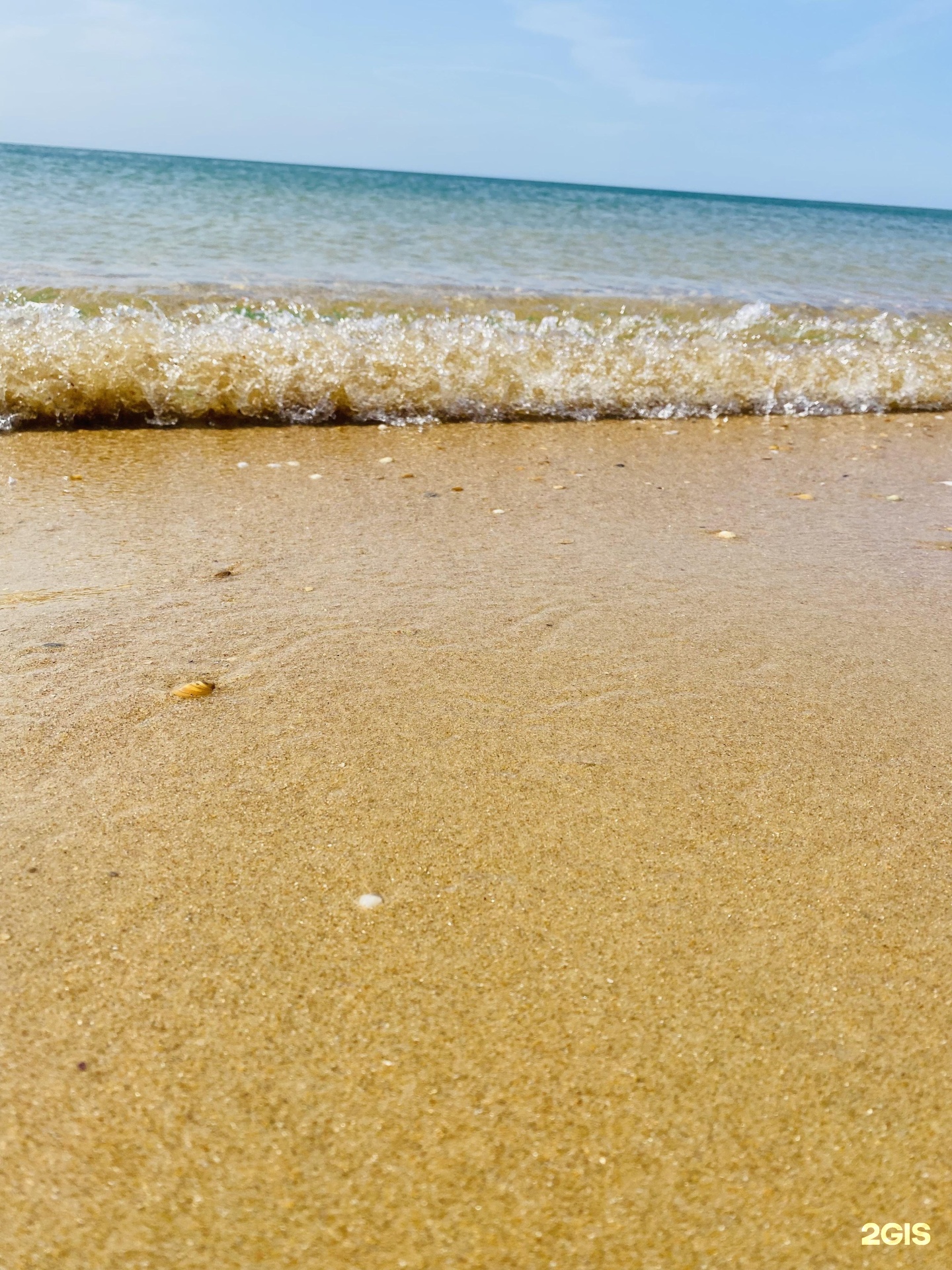 Витязево пляжи отзывы. Пляж Тортуга Витязево. Витязево пляж. Тортуга чистый пляж Витязево. Пляж Тортуга Витязево 2023.