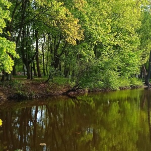 Фото от владельца Южный, ландшафтный парк