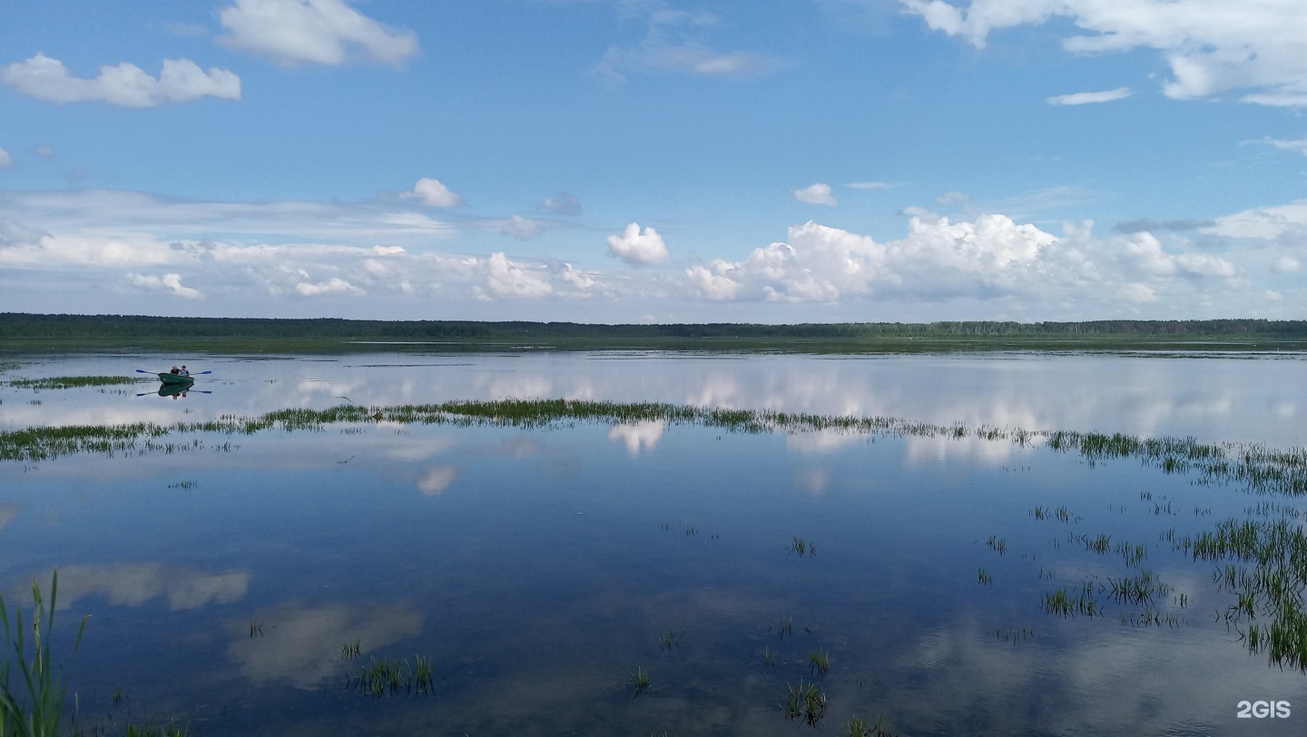 озеро горькое курганская область фото