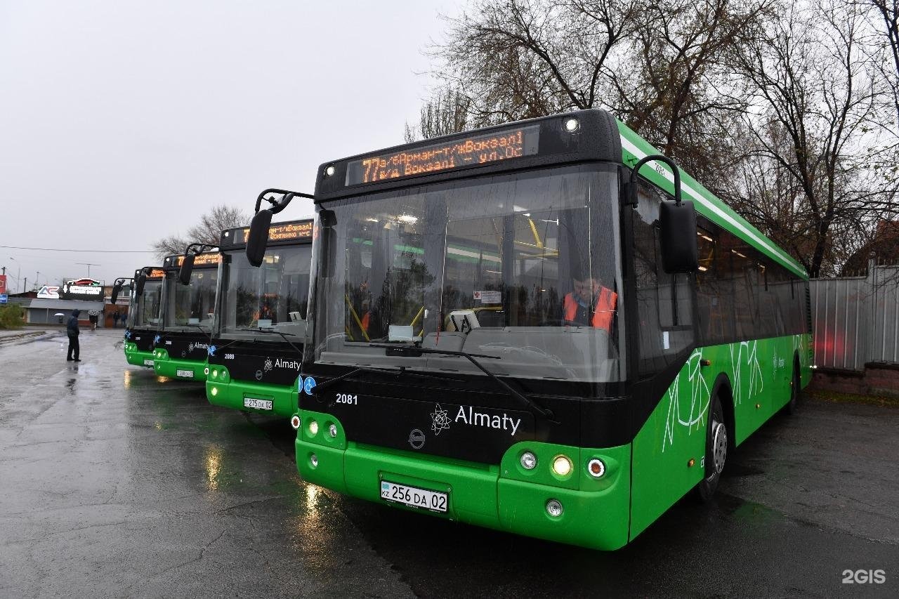 Алмата автобус. Автобус. Общественный транспорт Алматы. Городской автобус. Автобусы Алматы.