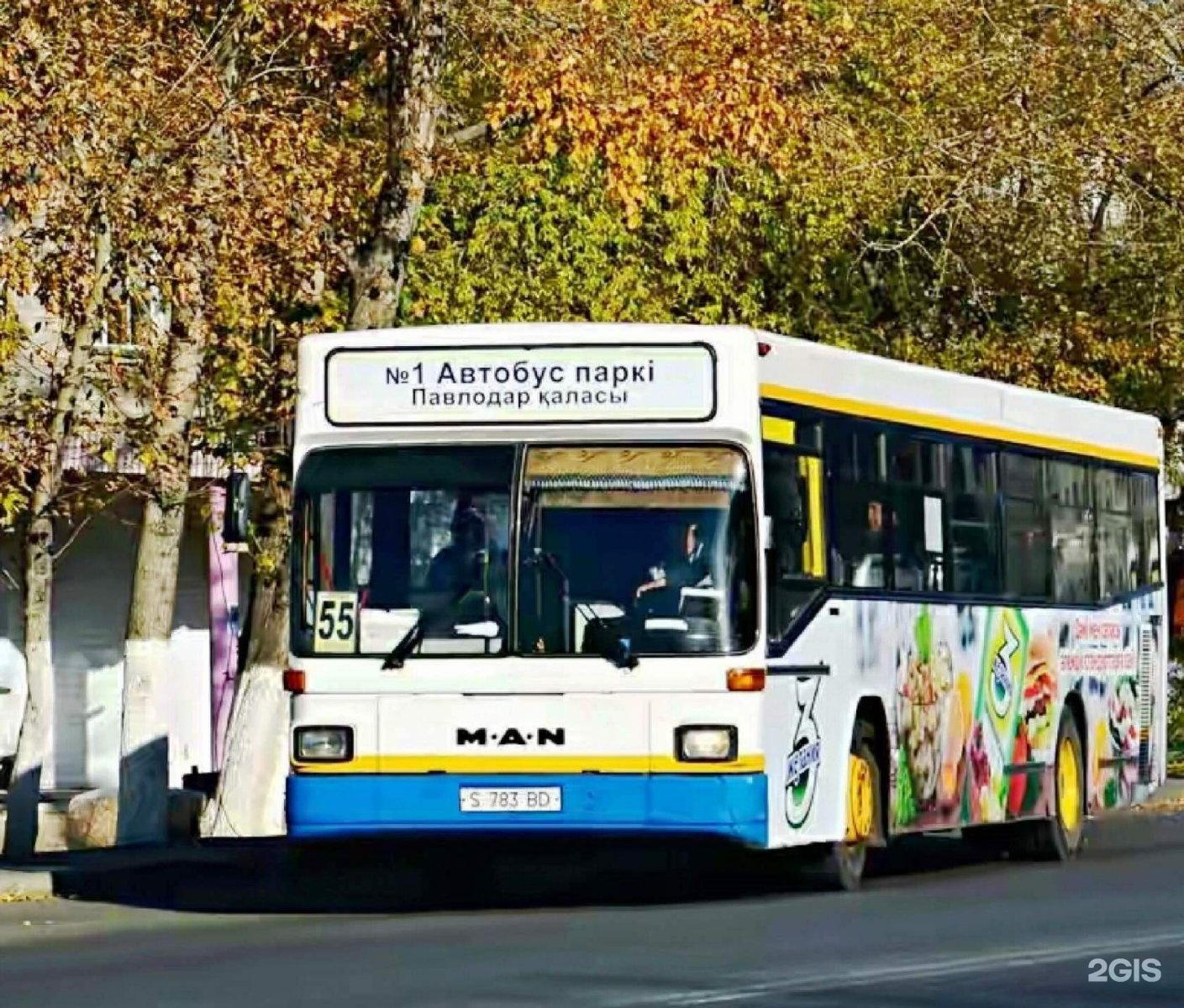 Транспорт покажи автобус