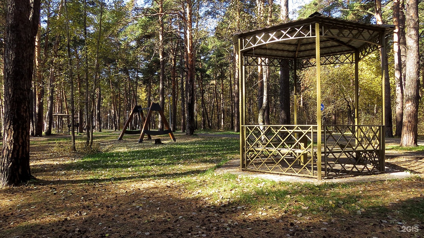 Кедровница тюмень. Гилевская роща Тюмень беседки. Гилёвская роща Тюмень мангальная зона. Гилевская роща беседки. Гилевская роща Тюмень мангалы.