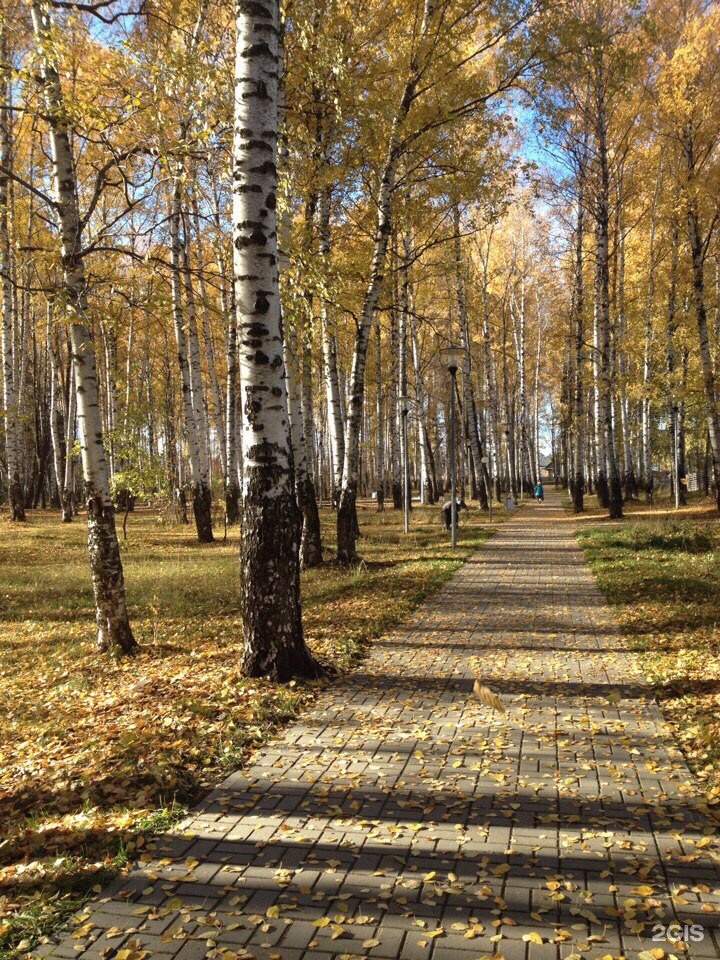 Чехов парк фото. Парк Чехова Пермь. Парк Чехова на Гайве Пермь. Парк им. Чехова а. п., Пермь. Парк в Чехове.