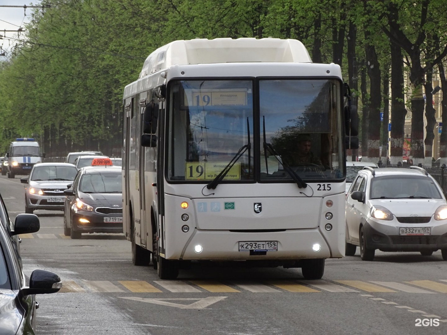 автобус москва пермь