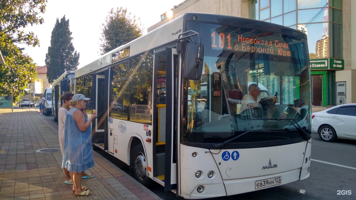 Сайт автобусов сочи. Автобусы Сочи. Городской транспорт Сочи. Городские автобусы в Сочи. Маршрутка Сочи.