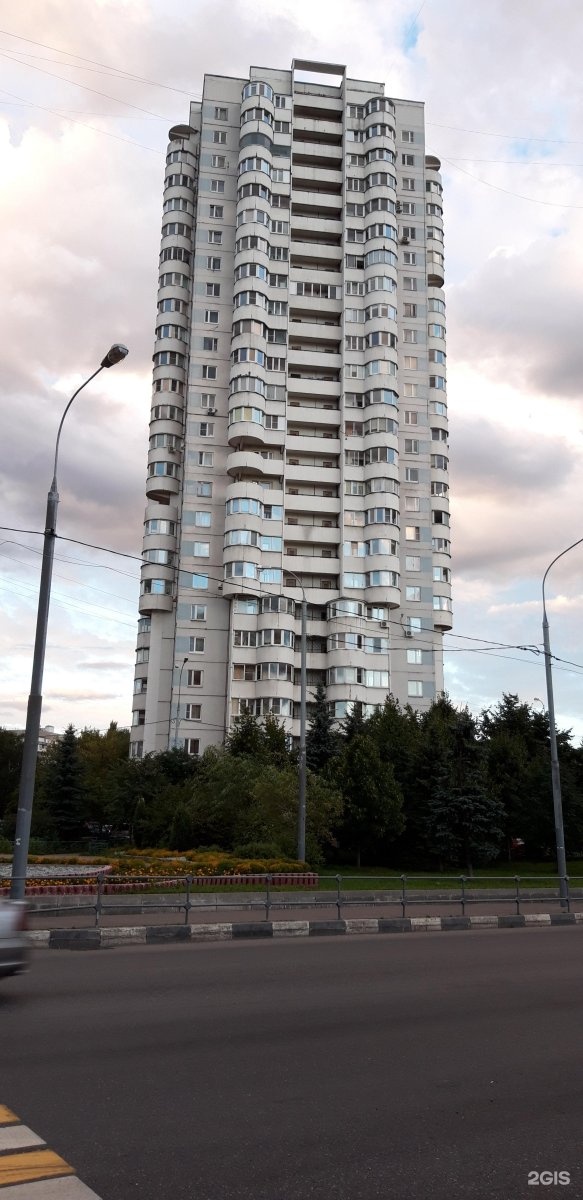 Улица гурьянова москва. Гурьянова 17. Москва ул Гурьянова 17. Улица Гурьянова 2к2. Гурьянова 17к1.