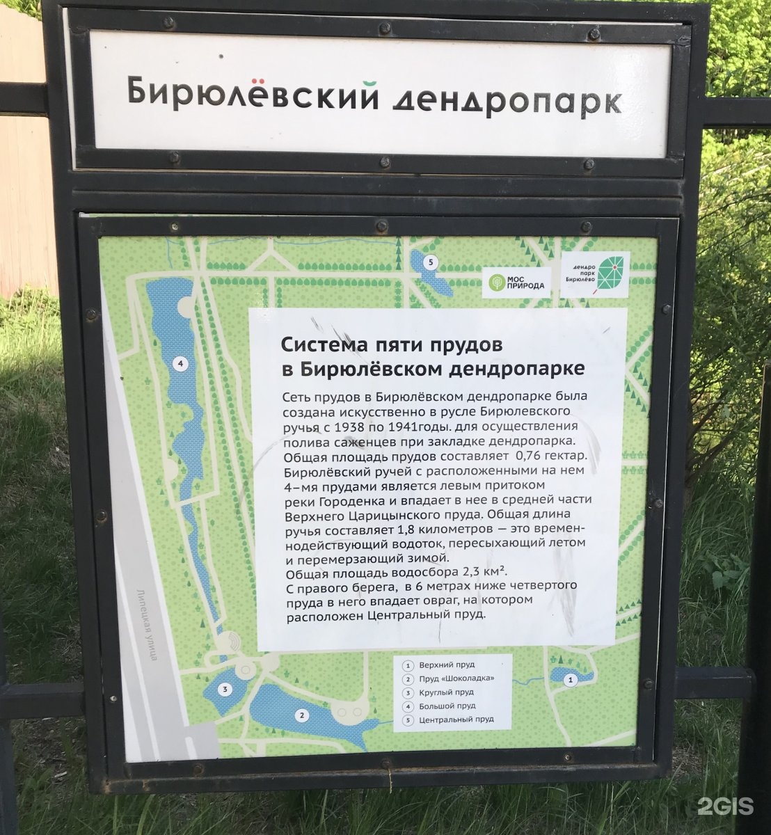 Дендропарк москва карта