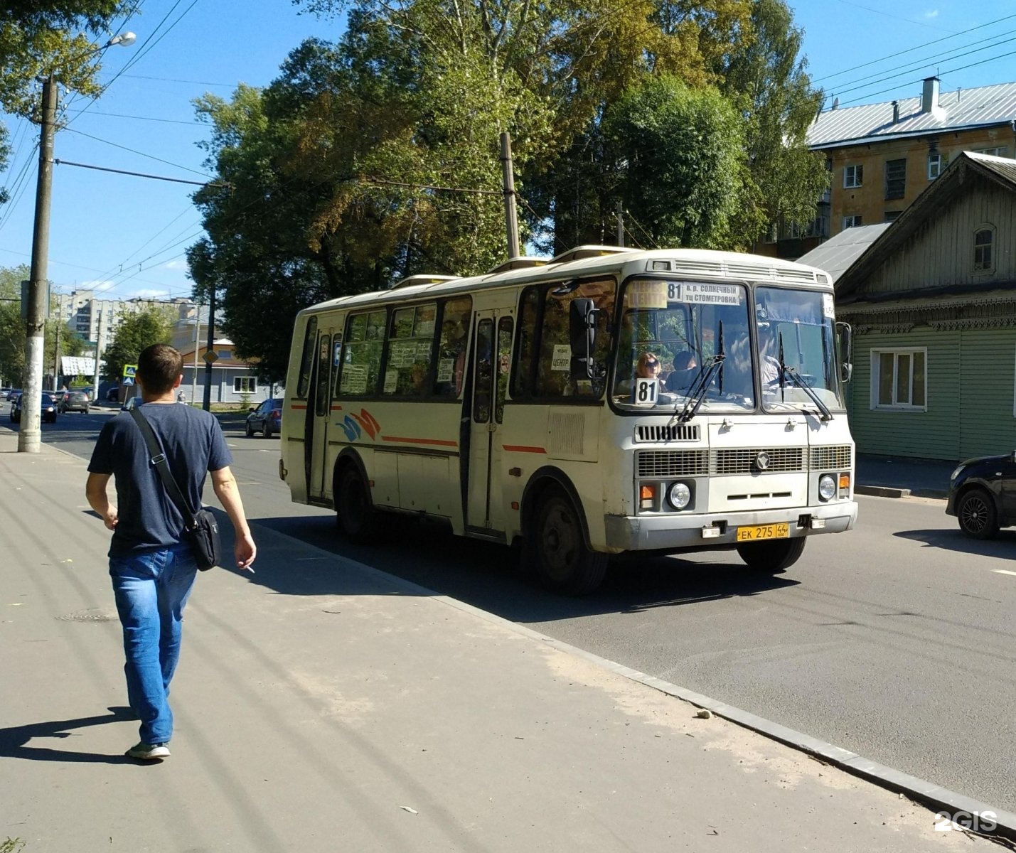 81 автобус маршрут. Автобус 81. Маршрутка 81. Автобус маршрут 81. 81 Маршрут Кострома.